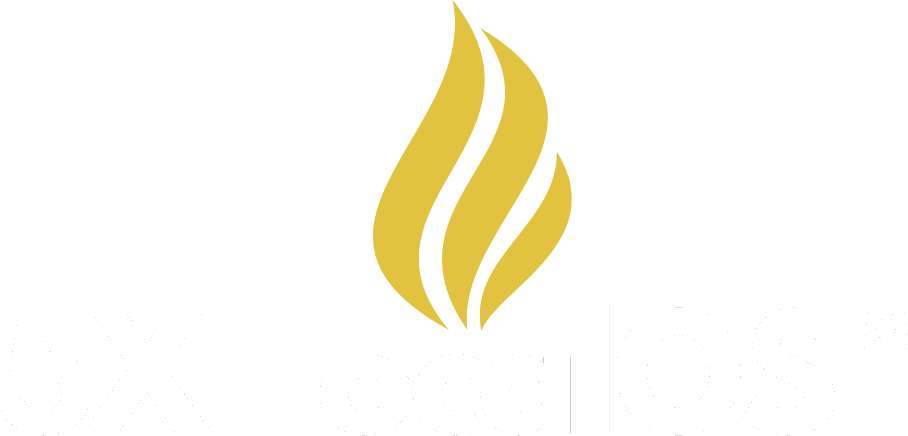 5X LocalOS